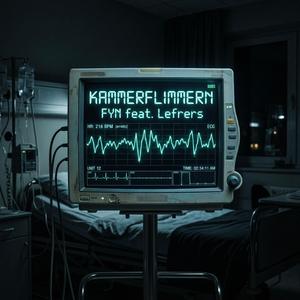 KAMMERFLIMMERN