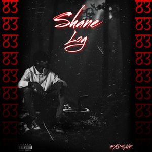 SHANE LOG