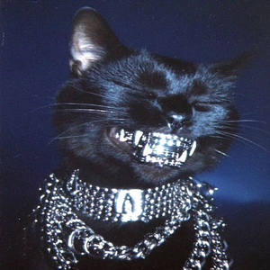 Не буди меня