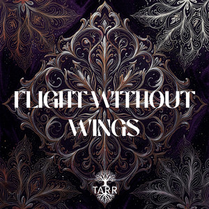 Flight Without Wings (Original Mix)