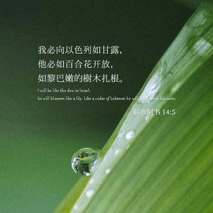 陪我走过春夏秋冬