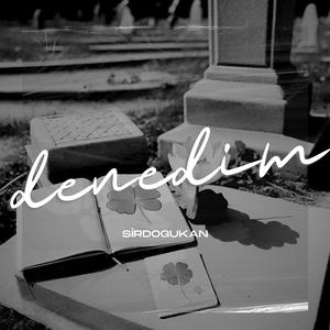Denedim
