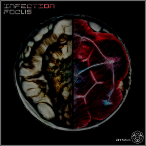 Constranist (Original Mix)