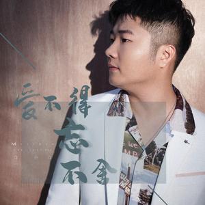 爱不得忘不舍 (DJ加速版)