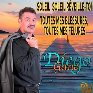 Toutes mes blessures, toutes mes FELURES