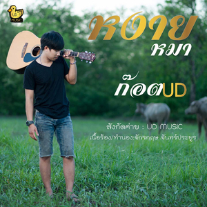 หงายหมา