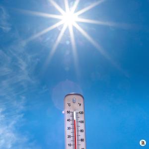 시원한 음료수 한 캔