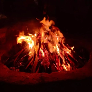 没营养的trap（prod by 澜）