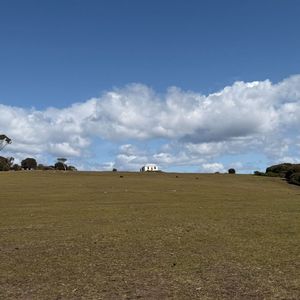 荒原狂想曲_純鋼琴.wav