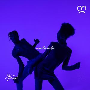Umlando (feat. Kanda Beats, Din BEATS & Kitoko Flute) (GQOM)