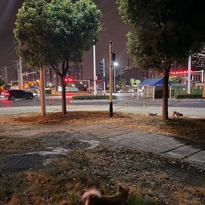 听海