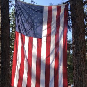 Under Freedom's Flag