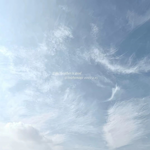 隔着一句试探的晚安