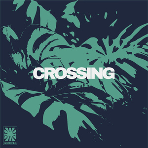 Crossing
