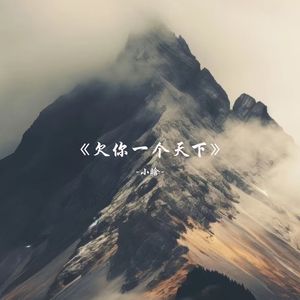 欠你一个天下