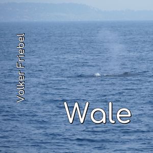 Nebeneinander (zwei Wale)