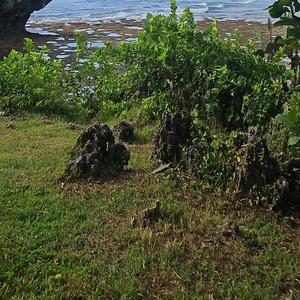 Nimic nu mai e cum a fost cândva