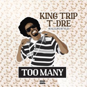 Too Many (feat. T-Dre & Lil Bonez)