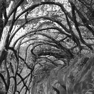 给你摆个龙门阵