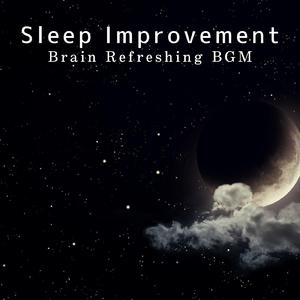 Tranquil Sleepscape Serenade