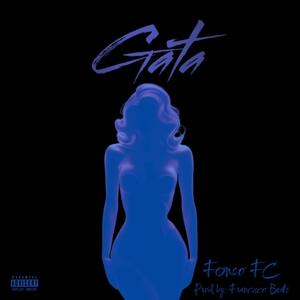 Gata