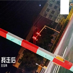 我走后