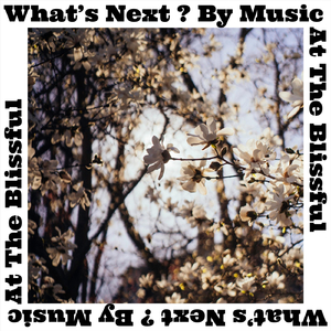 Hello My Name Is Joe