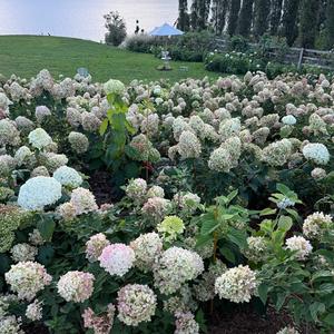 梦想还没腐朽 我先学会了迁就