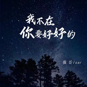 我不在了你要好好的