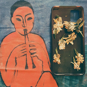 南方的夜晚輕輕的吟唱著