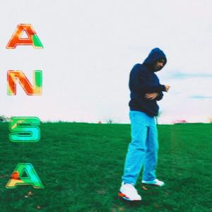 ANSA