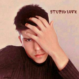 Stupid Love