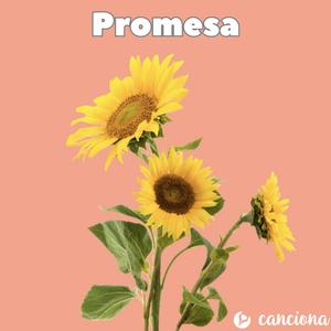 Promesa