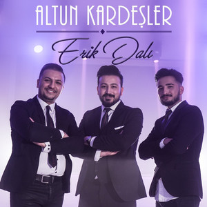 Erik Dalı