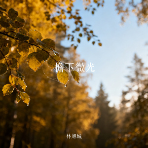 檐下微光