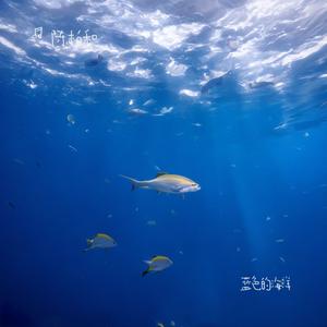 蓝色的海洋