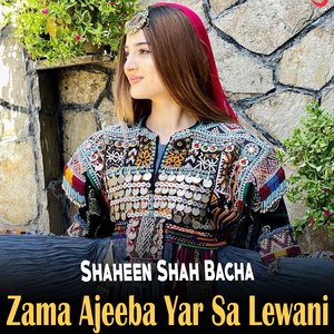 Zama Ajeeba Yar Sa Lewani