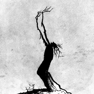 cotard's (feat. ftwfall)