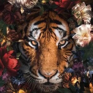 剑与蔷薇（Prod.EVO MUSIC）