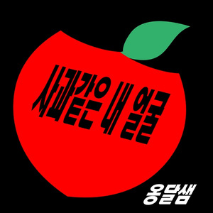 사과같은 내 얼굴