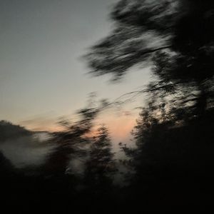 山野中