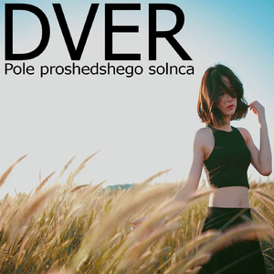 Pole Proshedshego Solnca (Original Mix)