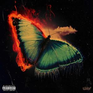 Butterfly Effect
