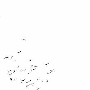 词不达意Prod.Ounce_X