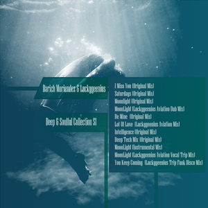 MoonLight (Luckygeenius Aviation Dub Mix)