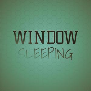 Window Sleeping