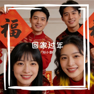 回家过年(开心版)