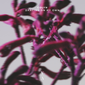 Dancing On My Own (Extended Mix)