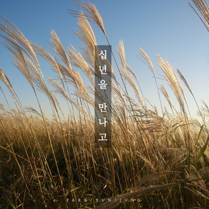십년을 만나고