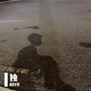 秋月笙-静夜思（秋月笙 remix）